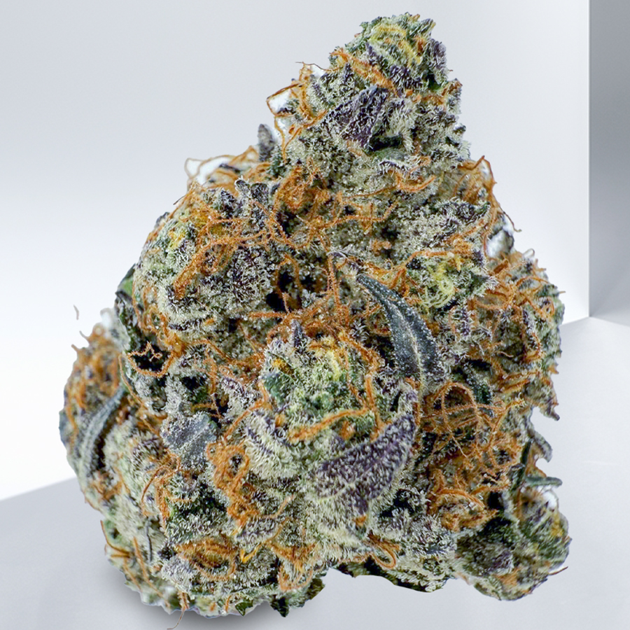 99165-377-Pink-Gelato.jpg