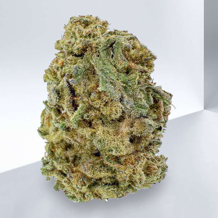243-GRAPE-APE-SATIVA.jpg