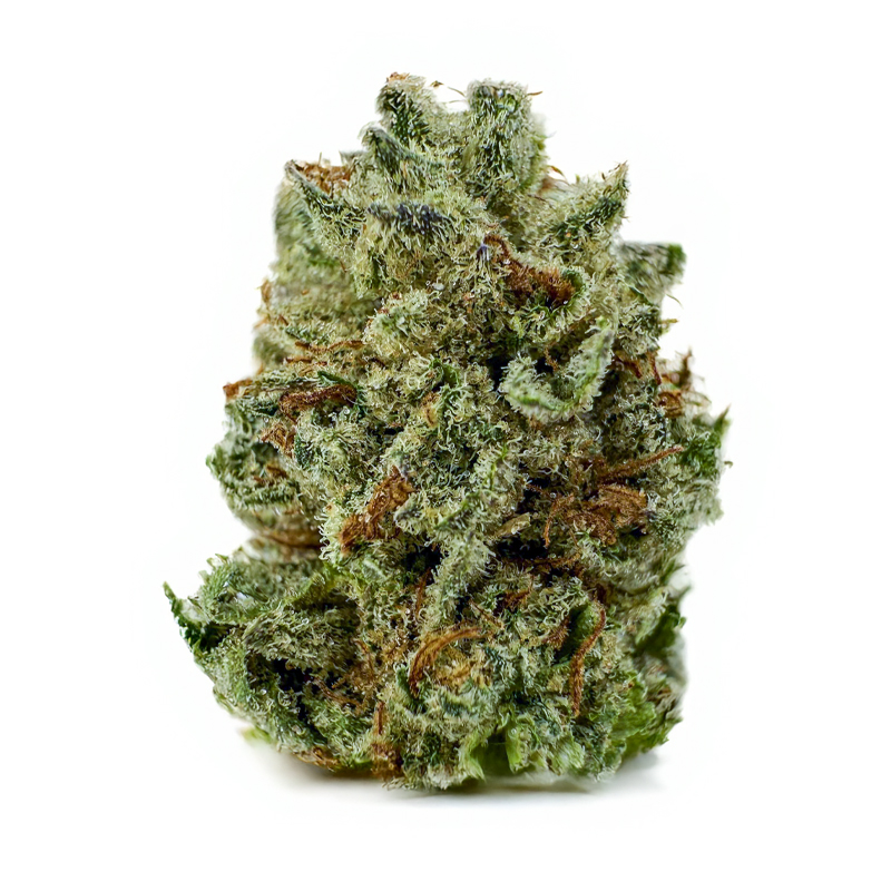 252-PURPLE-OREO-H.jpg