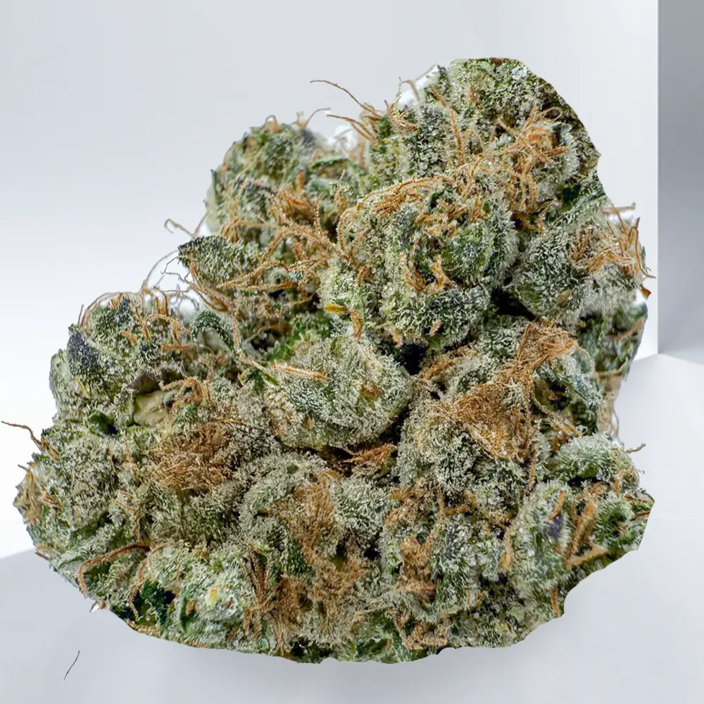 323-FRUITY-FROSTED-COOKIES.webp