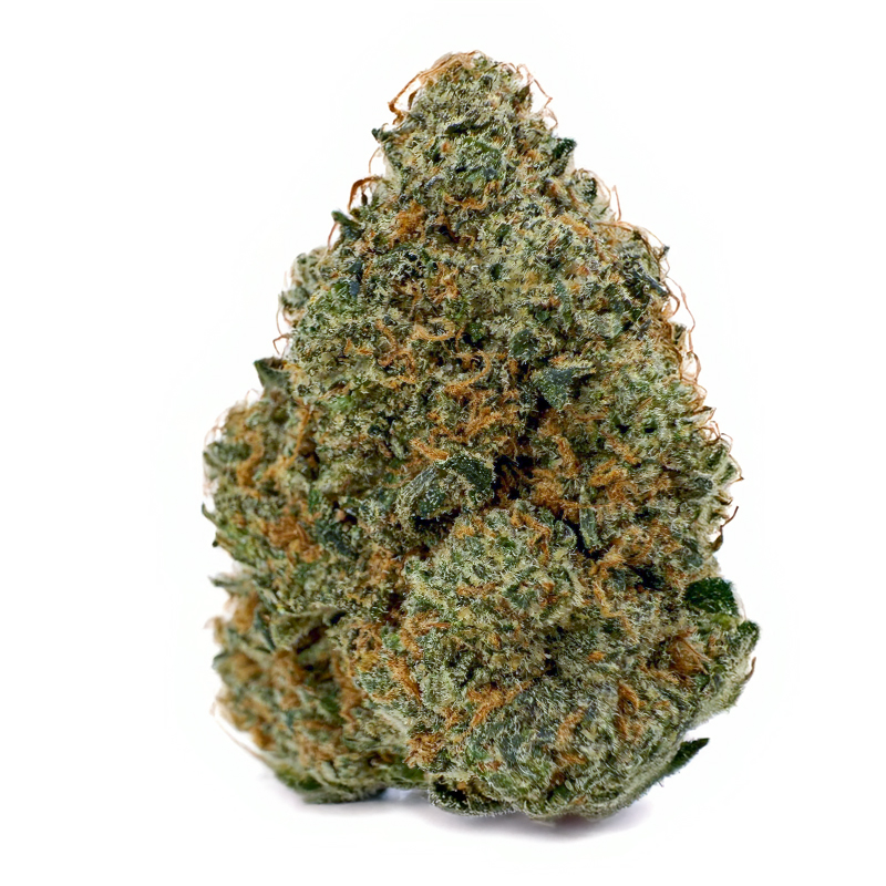 357-MAC1.jpg