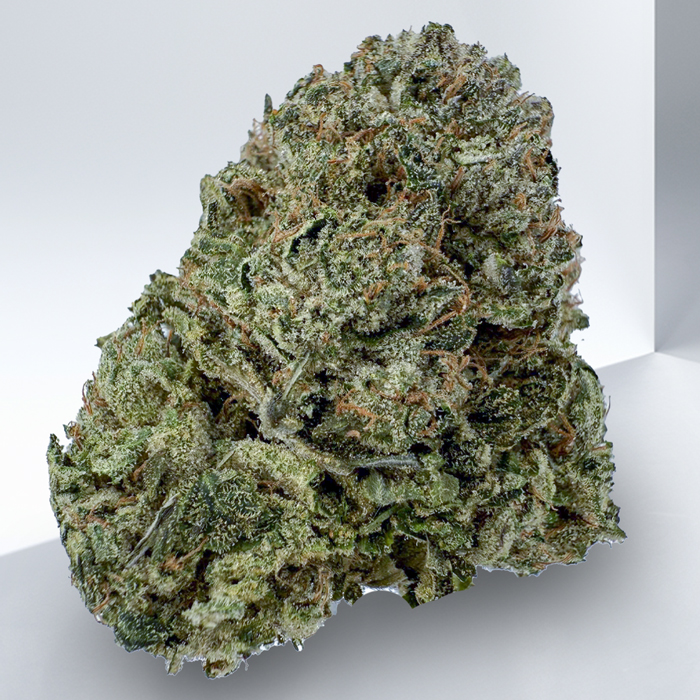521-HOLLANDS-KUSH.jpg