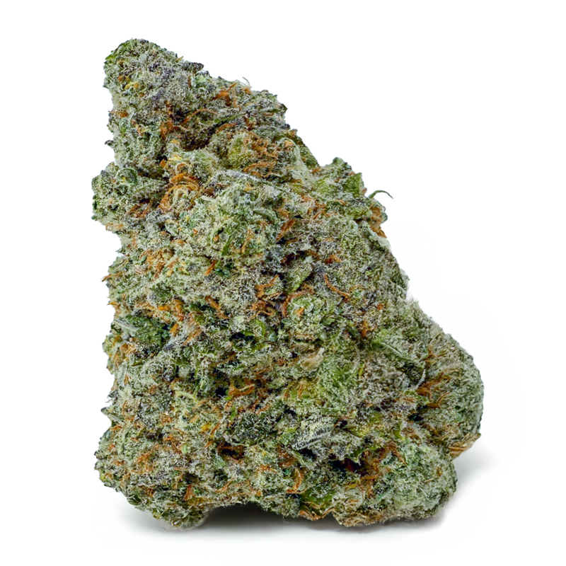 259-TANGIE-GHOST-TRAIN-99121-39.jpg